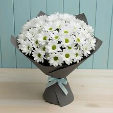 Букет цветов из:  Хризантемы в Дыдымкине
