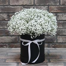 Цветочная композиция из Гипсофила в шляпной коробке в Дыдымкине