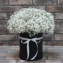 Цветочная композиция из Гипсофила в шляпной коробке в Дыдымкине