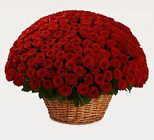 Премиум букет из: Розы в Дыдымкине