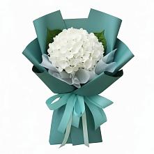 Букет цветов из:  Гортензия в Дыдымкине